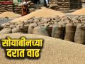 Soybean BajarBhav: बाजारात सोयाबीनचे दर वधारले, आवक मात्र घटली! - Marathi News | Soybean BajarBhav: Soybean prices increased in the market, but arrivals decreased! | Latest agriculture News at Lokmat.com