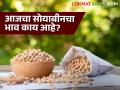 Soybean Market Update : लातूर बाजारात सर्वाधिक तर शिरपूर बाजारात कमी आवक; काय भाव मिळाला ते वाचा सविस्तर  - Marathi News | Soybean Market Update: Latur market has highest arrivals and Shirpur market has low arrivals; Read the price in detail  | Latest agriculture News at Lokmat.com