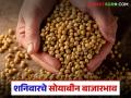 Soybean Bajar Bhav : सोयाबीन बाजारभाव : दर कुठे वाढले, कुठे घसरले? वाचा सविस्तर - Marathi News | latest news Soybean Bajar Bhav : Where did the price increase, where did it decrease? Read in detail | Latest agriculture News at Lokmat.com