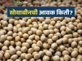 Soybean Bajar Bhav : लातूरच्या बाजारात सोयाबीनची आवक किती; काय मिळाला भाव ते वाचा सविस्तर - Marathi News | Soybean Bajar Bhav : What is the arrival of soybeans in Latur market; Read the price in detail | Latest agriculture News at Lokmat.com