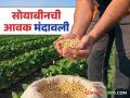 Soybean Bajar Bhav: बाजारात सोयाबीनची आवक मंदावली; काय मिळाला दर ते वाचा सविस्तर - Marathi News | Soybean Bazaar Bhav: Soybean arrivals in the market have slowed down; Read the details of what was received and the price | Latest agriculture News at Lokmat.com