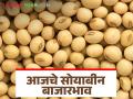 Soybean Bajar Bhav : पिवळा सोयाबीनची आवक सर्वाधिक; कसा मिळतोय दर ते वाचा सविस्तर - Marathi News | Soybean Bazaar Bhav: Yellow soybean arrivals highest; Read in detail how prices are being obtained | Latest agriculture News at Lokmat.com