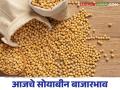 Soybean Bajar Bhav : दर्यापूर बाजारात सोयाबीनची आवक किती; किती दर मिळाला ते वाचा सविस्तर - Marathi News | Soybean Bajar Bhav: What is the arrival of soybeans in Daryapur market; Read more about the price | Latest agriculture News at Lokmat.com