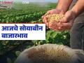 Soybean Bajar Bhav : आजचा सोयाबीन बाजार: कुठे भाव वधारले, कुठे आवक वाढून दबाव? वाचा सविस्तर - Marathi News | latest news Soybean Bajar Bhav : Today's soybean market: Where did prices increase, where did pressure arise due to increased arrivals? Read in detail | Latest agriculture News at Lokmat.com