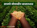 Soybean Bajar Bhav : लातूरच्या बाजारात सोयाबीनची आवक वाढतेय; कासा मिळतोय दर ते वाचा सविस्तर - Marathi News | Soybean Bazaar Bhav : Soybean arrivals are increasing in Latur market; Read the price in detail | Latest agriculture News at Lokmat.com