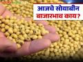 Soybean Bajar Bhav : विदर्भ-मराठवाड्यात सोयाबीनचे कसे आहेत दर जाणून घ्या सविस्तर - Marathi News | latest news Soybean Bajar Bhav : Know the prices of soybeans in Vidarbha-Marathwada in detail | Latest agriculture News at Lokmat.com