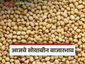 Soybean Bajar Bhav : पिवळ्या सोयाबीनला भाववाढ, इतर जाती स्थिर; बाजारात मर्यादित आवक - Marathi News | latest news Soybean Bajar Bhav : Yellow soybean prices increase, other varieties remain stable; Limited arrivals in the market | Latest agriculture News at Lokmat.com