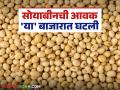 Soybean Bajar Bhav : अकोला बाजारात सोयाबीनच्या 'या' जातीच्या आवक अधिक; काय मिळाला दर ते वाचा सविस्तर - Marathi News | Soybean Bazaar Bhav : More arrivals of 'this' variety of soybean in Akola market; Read the price received in detail | Latest agriculture News at Lokmat.com