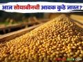 Soybean Bajar Bhav : लातुरच्या बाजारात पिवळ्या सोयाबीनची आवक सर्वाधिक; काय मिळाले दर वाचा सविस्तर - Marathi News | Soybean Bajar Bhav : Yellow Soybean arrival is highest in Latur market; Read more about what you got | Latest agriculture News at Lokmat.com