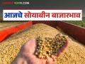 Soybean Bajar Bhav : पिवळ्या सोयाबीनला चांगली मागणी; दर कसा मिळाला ते वाचा सविस्तर - Marathi News | latest mews Soybean Bajar Bhav : Good demand for yellow soybeans; Read in detail how the price was obtained | Latest agriculture News at Lokmat.com