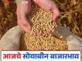 Soybean Bajar Bhav: सोयाबीन आवकेत घसरण; काय दर मिळाला ते वाचा सविस्तर - Marathi News | Soybean Bazaar Bhav: latest news Soybean arrivals fall; Read in detail what price was received | Latest agriculture News at Lokmat.com