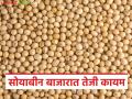 Soybean Bajar Bhav : सोयाबीनला विक्रमी तेजी; अनेक बाजारात ७ हजार पार भाव - Marathi News | latest news Soybean BajarBhav: Soybean prices hit record high; Prices cross 7 thousand paise in many markets | Latest agriculture News at Lokmat.com