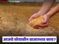 Soybean Bajar Bhav : सोयाबीन बाजारात आवक वाढली; कुठे भाव वधारले? वाचा सविस्तर - Marathi News | latest news Soybean Bajar Bhav: Soybean arrivals increased in the market; Where did the prices increase? Read in detail | Latest agriculture News at Lokmat.com