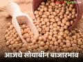 soybean Bajar Bhav: रविवारी बाजारात सोयाबीनची आवक किती; कसा मिळाला दर ते वाचा सविस्तर - Marathi News | Soybean Bazaar Bhav: How much soybeans arrived in the market on Sunday; Read in detail how the price was obtained | Latest agriculture News at Lokmat.com