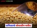 Soybean Bajar Bhav : सोयाबीनला आज किती भाव; कोणत्या बाजारात आवक घटली? वाचा सविस्तर - Marathi News | latest news Soybean Bajar Bhav: What is the price of soybean today; In which market did the arrival decrease? Read in detail | Latest agriculture News at Lokmat.com