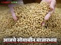 Soybean Bajar Bhav : सोयाबीन बाजारात तेजी; पिवळ्या जाती उच्चांकी दर वाचा सविस्तर - Marathi News | latest news Soybean Bajar Bhav : Soybean market booms; Yellow variety prices highest Read in detail | Latest agriculture News at Lokmat.com