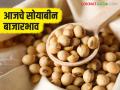 Soybean Bajar Bhav: पिवळा सोयाबीनची बाजारात आवक किती; कसा मिळाला दर ते वाचा सविस्तर - Marathi News | Soybean Bazaar Bhav: latest news How much yellow soybeans are arriving in the market; Read in detail how the price was obtained | Latest agriculture News at Lokmat.com