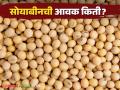 Soybean Bajar Bhav : लातुरच्या बाजारात सोयाबीनची आवक वाढतेय; काय मिळाला भाव ते वाचा सविस्तर - Marathi News | Soybean Bajar Bhav : soybeans is increasing in Latur market | Latest agriculture News at Lokmat.com