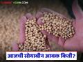 Soybean Bajar Bhav : सोयाबीन बाजारात मंदी; भावात चढ-उतार सुरू वाचा सविस्तर - Marathi News | latest news Soybean Bajar Bhav : Slowdown in soybean market; Prices continue to fluctuate Read in detail | Latest agriculture News at Lokmat.com