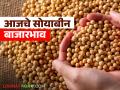 Soybean Bajar Bhav : सोयाबीन दरात तेजी; 'या' बाजारात भावाने गाठला उच्चांक वाचा सविस्तर - Marathi News | latest news Soybean Bajar Bhav : Soybean prices rise; Prices hit record high in 'this' market Read in detail | Latest agriculture News at Lokmat.com