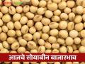 Soybean Bajar Bhav : धाडच्या बाजारात सोयाबीनची सर्वाधिक आवक; काय मिळाला भाव ते वाचा सविस्तर - Marathi News | Soybean Bajar Bhav : Highest arrival of soybeans in Dhad market | Latest agriculture News at Lokmat.com