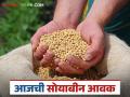 Soybean Bajar Bhav : लातूर, सिन्नरच्या बाजारात सोयाबीनची आवक किती; काय मिळतोय दर ते वाचा सविस्तर - Marathi News | Soybean Bazaar Bhav: How much soybeans are arriving in the markets of Latur, Sinnar; Read in detail what is the price being obtained | Latest agriculture News at Lokmat.com