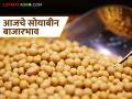 Soybean Bajar Bhav : विदर्भात दबाव, मराठवाड्यात तेजी; जाणून घ्या आजचे सोयाबीन बाजारभाव - Marathi News | latest news Soybean Bajar Bhav : Pressure in Vidarbha, boom in Marathwada; Know today's soybean market prices | Latest agriculture News at Lokmat.com
