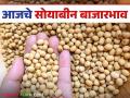 Soybean Bajar Bhav : पिवळ्या सोयाबीनला काय मिळाला दर; वाचा आजचे सोयाबीन बाजारभाव - Marathi News | Soybean Bazaar Bhav: What is the price of yellow soybeans; Read today's soybean market price | Latest agriculture News at Lokmat.com