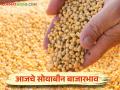 Soybean Bajar Bhav : लातूर बाजारात सोयाबीनची आवक किती; कसा मिळतोय दर ते वाचा सविस्तर - Marathi News | Soybean Bazaar Bhav: How much soybeans are arriving in Latur market; Read in detail how the prices are being obtained | Latest agriculture News at Lokmat.com