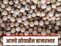 Soybean Bajar Bhav : सोयाबीनच्या आवकेत घट; कसा मिळतोय दर ते वाचा सविस्तर - Marathi News | Soybean Bazaar Bhav: Decrease in soybean arrival; Read in detail how the price is being obtained | Latest agriculture News at Lokmat.com