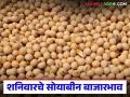 Soybean Bajar Bhav : जालन्यात उसळी, तर 'या' बाजारात सोयाबीन भाव घसरले वाचा सविस्तर - Marathi News | latest news Soybean Bajar Bhav: Soybean prices surged in Jalna, while soybean prices fell in 'Ya' market. Read in detail | Latest agriculture News at Lokmat.com