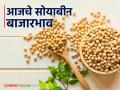 Soybean Bajar Bhav : 'या' जातीच्या सोयाबीनची आवक बाजारात; कसा मिळाला दर ते वाचा सविस्तर - Marathi News | Soybean Bazaar Bhav: Arrival of 'this' variety of soybean in the market; Read in detail how the price was obtained | Latest agriculture News at Lokmat.com
