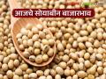 Soybean Bajar Bhav : सोयाबीन बाजारात आवक कमी; भावात स्थिरता जाणून घ्या सविस्तर - Marathi News | latest news Soybean Bajar Bhav : Low arrivals in soybean market; Know the stability in prices in detail | Latest agriculture News at Lokmat.com