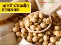 Soybean Bajar Bhav : रविवारी सोयाबीनची आवक मंदावली; असा मिळाला दर ते वाचा सविस्तर - Marathi News | Soybean Bazaar Bhav: Soybean arrivals slowed down on Sunday; Read the price in detail | Latest agriculture News at Lokmat.com