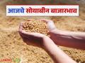 Soybean Bajar Bhav: सोयाबीन आवकेत घसरण; कसा मिळतोय दर ते वाचा सविस्तर - Marathi News | Soybean Bazaar Bhav: Soybean arrivals fall; Read in detail how prices are being obtained | Latest agriculture News at Lokmat.com