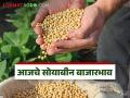 Soybean Bajar Bhav : सोयाबीनची आवक घटली; बुलढाणा बाजारात दरांना उभारी - Marathi News | latest new Soybean Bajar Bhav : Soybean arrivals decreased; prices rose in Buldhana market | Latest agriculture News at Lokmat.com