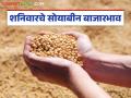 Soybean Bajar Bhav : सोयाबीन भाव उसळले की कोसळले? जाणून घ्या सविस्तर बाजारभाव - Marathi News | latest news Soybean Bajar Bhav: Did soybean prices rise or fall? Know the detailed market price | Latest agriculture News at Lokmat.com