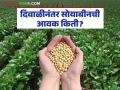 Soybean Bajar Bhav : दिवाळी नंतर सोयाबीनची मोठी आवक; कसा मिळाला दर ते जाणून घ्या सविस्तर - Marathi News | latest news Soybean Bajar Bhav: Big arrival of soybeans after Diwali; Know in detail how the price was obtained | Latest agriculture News at Lokmat.com