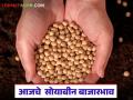 Soybean Bajar Bhav : सोयाबीनमध्ये घसरण की तेजी? पिवळ्या मालाला जोरदार उठाव वाचा सविस्तर - Marathi News | latest news Soybean Bajar Bhav : Fall or rise in soybeans? Strong rise in yellow commodity Read in detail | Latest agriculture News at Lokmat.com