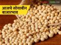 Soybean Bajar Bhav : आज सोयाबीनला कुठे किती भाव मिळाला वाचा सविस्तर बातमी - Marathi News | latest news Soybean Bajar Bhav : Where and how much soybeans were sold today, read detailed news | Latest agriculture News at Lokmat.com
