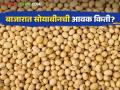 Soybean Bajar Bhav : लातूरच्या बाजारात सोयाबीनची सर्वाधिक आवक; काय मिळाला दर ते वाचा सविस्तर - Marathi News | Soybean Bajar Bhav: Highest arrival of soybeans in Latur market | Latest agriculture News at Lokmat.com