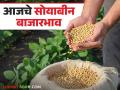 Soybean Bajar Bhav : राज्यातील बाजारात सोयाबीनची आवक वाढतेय; काय मिळतोय भाव ते वाचा सविस्तर - Marathi News | Soybean Bajar Bhav : Inflow of soybeans is increasing in the state market; Read in detail what the price is getting | Latest agriculture News at Lokmat.com