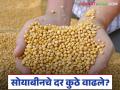 Soybean Bajar Bhav : सोयाबीनचे दर 'या' बाजारात उसळले वाचा सविस्तर बातमी - Marathi News | latest news Soybean Bajar Bhav: Soybean prices have surged in the market. Read the detailed news. | Latest agriculture News at Lokmat.com