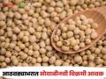 Soybean Market : दिवाळीमुळे शेतकऱ्यांचा सोयाबीन विक्रीवर भर; बाजारात किती झाली आवक ते वाचा सविस्तर - Marathi News | Soybean Market : farmers focus on selling soybeans | Latest agriculture News at Lokmat.com