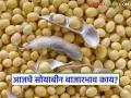 Soybean Bajar Bhav : सोयाबीनचे दर उसळले की घसरले? आजचा बाजारभाव वाचा सविस्तर - Marathi News | latest news Soybean Market Price: Did soybean prices rise or fall? Read today's market price in detail | Latest agriculture News at Lokmat.com