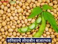 Soybean Bajar Bhav : सोयाबीनचा बाजार तेजीत? जाणून घ्या आजचे दर - Marathi News | latest news Soybean Bajar Bhav : Is the soybean market booming? Know today's prices | Latest agriculture News at Lokmat.com