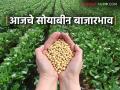 Soybean Bajar Bhav : सिल्लोड, देवणी बाजारात सोयाबीनची आवक किती; कसा मिळला दर ते वाचा सविस्तर - Marathi News | Soybean Bazaar Bhav: How much soybeans arrived in Sillod, Deoni Bazaar; Read in detail how the price was obtained | Latest agriculture News at Lokmat.com