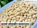 Soybean Bajar Bhav : किनवट बाजारात सोयाबीनच्या दरात होतेय सुधारणा; इतर बाजारात काय भाव मिळतोय ते वाचा सविस्तर - Marathi News | Soybean Bazaar Bhav: Soybean prices are improving in the Kinwat market; Read in detail what prices are being obtained in other markets | Latest agriculture News at Lokmat.com