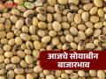 Soybean Bajar Bhav : सोयाबीनचे दर चढ- उतार; आवक मंदावली वाचा सविस्तर - Marathi News | latest news Soybean Bajar Bhav : Fluctuations in soybean prices; Inflows slowed | Latest agriculture News at Lokmat.com