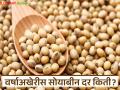 Soybean Bajar Bhav : सोयाबीन बाजारात तेजी कायम; मिल क्वॉलिटीला सर्वाधिक मागणी वाचा सविस्तर - Marathi News | latest news Soybean Bajar Bhav : Soybean market continues to boom; Mill quality is in highest demand Read in detail | Latest agriculture News at Lokmat.com